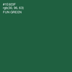 #1E603F - Fun Green Color Image