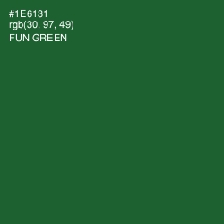 #1E6131 - Fun Green Color Image