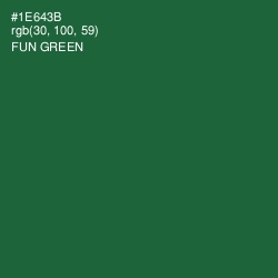 #1E643B - Fun Green Color Image