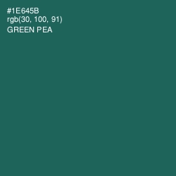 #1E645B - Green Pea Color Image