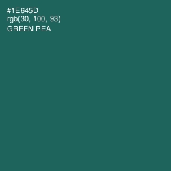 #1E645D - Green Pea Color Image