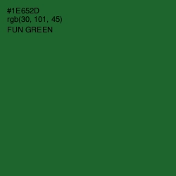 #1E652D - Fun Green Color Image