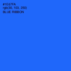 #1E67FA - Blue Ribbon Color Image