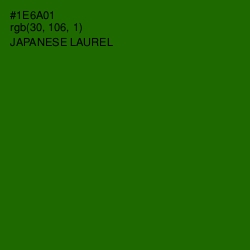 #1E6A01 - Japanese Laurel Color Image