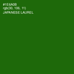 #1E6A0B - Japanese Laurel Color Image