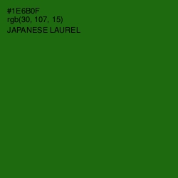 #1E6B0F - Japanese Laurel Color Image