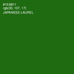 #1E6B11 - Japanese Laurel Color Image