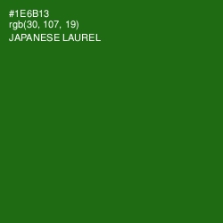 #1E6B13 - Japanese Laurel Color Image