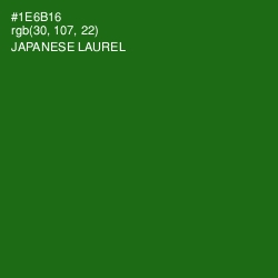 #1E6B16 - Japanese Laurel Color Image