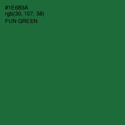 #1E6B3A - Fun Green Color Image