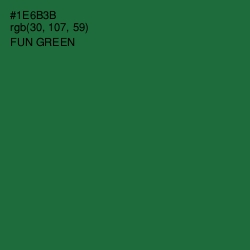 #1E6B3B - Fun Green Color Image