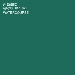 #1E6B5C - Watercourse Color Image