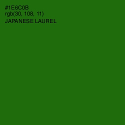 #1E6C0B - Japanese Laurel Color Image