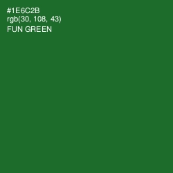 #1E6C2B - Fun Green Color Image