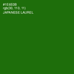 #1E6E0B - Japanese Laurel Color Image