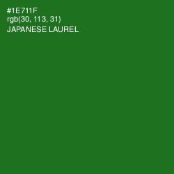 #1E711F - Japanese Laurel Color Image