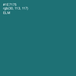 #1E7175 - Elm Color Image