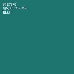 #1E7370 - Elm Color Image