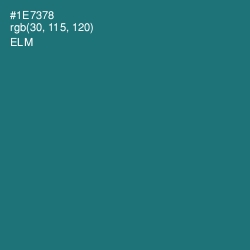 #1E7378 - Elm Color Image
