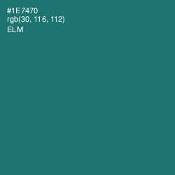 #1E7470 - Elm Color Image