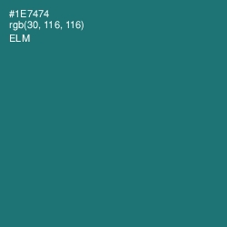 #1E7474 - Elm Color Image