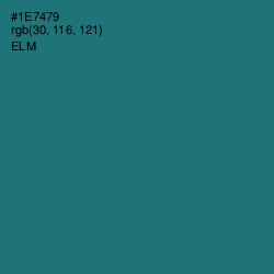 #1E7479 - Elm Color Image