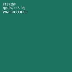 #1E755F - Watercourse Color Image