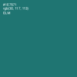 #1E7571 - Elm Color Image