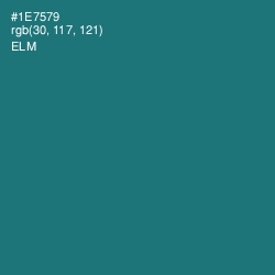 #1E7579 - Elm Color Image