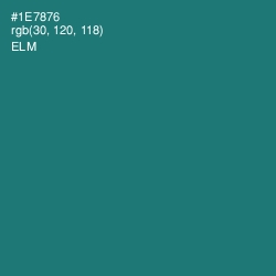 #1E7876 - Elm Color Image