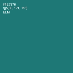 #1E7976 - Elm Color Image