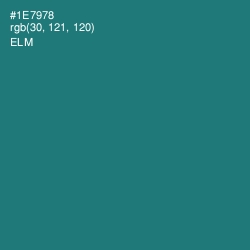 #1E7978 - Elm Color Image