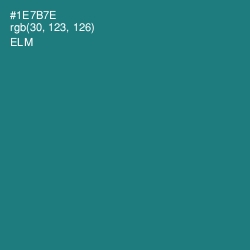 #1E7B7E - Elm Color Image