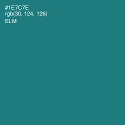 #1E7C7E - Elm Color Image