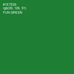 #1E7E33 - Fun Green Color Image