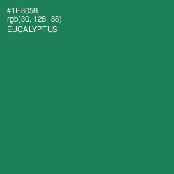 #1E8058 - Eucalyptus Color Image