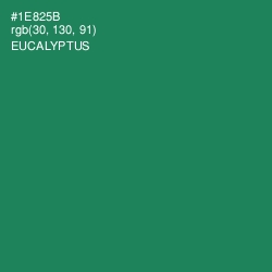 #1E825B - Eucalyptus Color Image