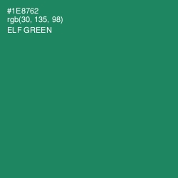 #1E8762 - Elf Green Color Image
