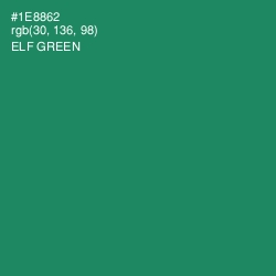 #1E8862 - Elf Green Color Image