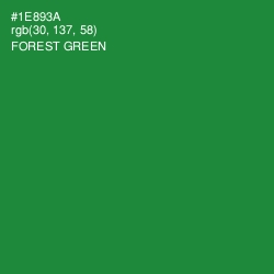 #1E893A - Forest Green Color Image