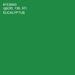 #1E8A43 - Eucalyptus Color Image