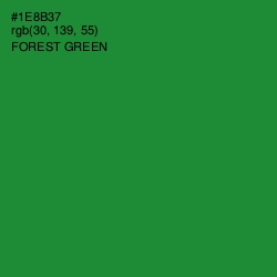 #1E8B37 - Forest Green Color Image