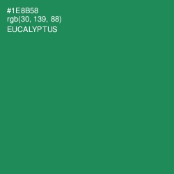 #1E8B58 - Eucalyptus Color Image