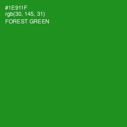 #1E911F - Forest Green Color Image