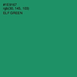 #1E9167 - Elf Green Color Image