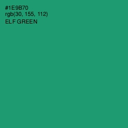 #1E9B70 - Elf Green Color Image