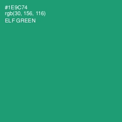 #1E9C74 - Elf Green Color Image