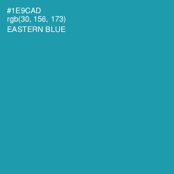 #1E9CAD - Eastern Blue Color Image