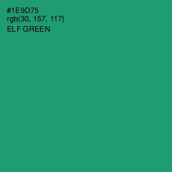 #1E9D75 - Elf Green Color Image