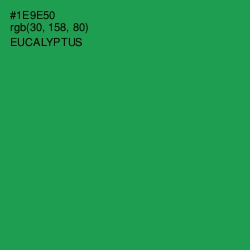 #1E9E50 - Eucalyptus Color Image